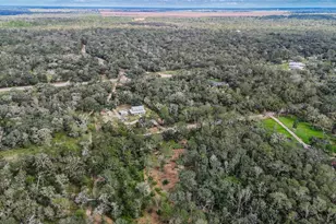 0 Live Oak St, Damon, TX 77430 - Photo 2
