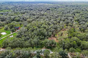 0 Live Oak St, Damon, TX 77430 - Photo 26