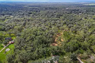 0 Live Oak St, Damon, TX 77430 - Photo 22