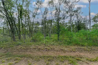 0 Live Oak St, Damon, TX 77430 - Photo 18