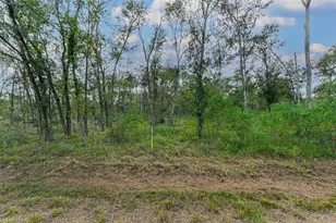 0 Live Oak St, Damon, TX 77430 - Photo 18