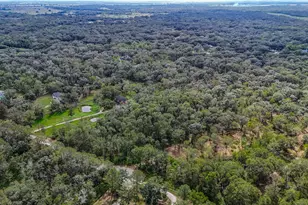 0 Live Oak St, Damon, TX 77430 - Photo 24
