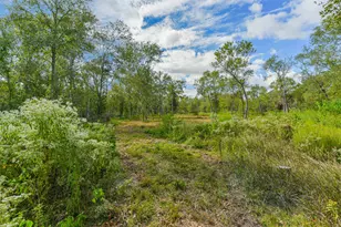 0 Live Oak St, Damon, TX 77430 - Photo 10