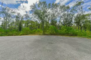 0 Live Oak St, Damon, TX 77430 - Photo 12