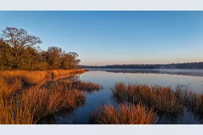 Tbd, +/-221 Ac Fm 3, Normangee, TX 77871 - Photo 1