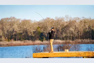 Tbd, +/-221 Ac Fm 3, Normangee, TX 77871 - Photo 38