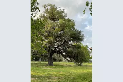 7462 County Road 284, Edna, TX 77957 - Photo 2
