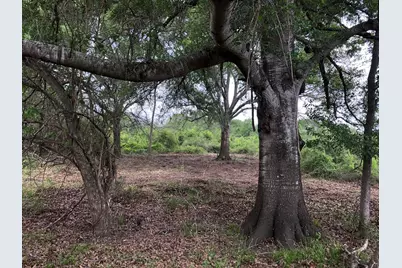 7462 County Road 284, Edna, TX 77957 - Photo 4