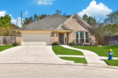 27603 Molly Hills Court, Spring, TX 77386 - Photo 50