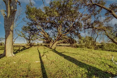 Tbd County Road 443/446, Ganado, TX 77962 - Photo 12