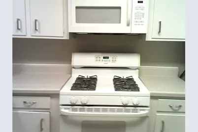 1102 W Tri Oaks Lane #103, Houston, TX 77043 - Photo 4