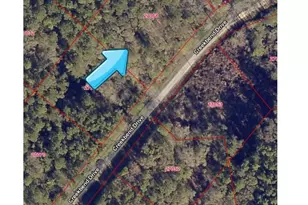 15985 Creekbend Dr, Plantersville, TX 77363 - Photo 1