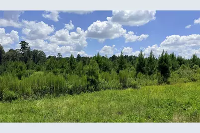 Tbd Lady Luck Ln Parcel 246445 Road, Livingston, TX 77351 - Photo 12