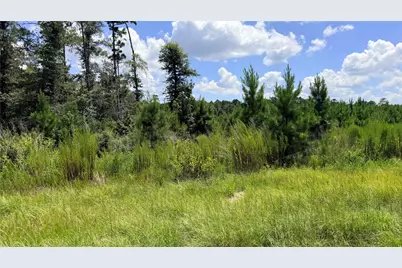 Tbd Lady Luck Ln Parcel 246445 Road, Livingston, TX 77351 - Photo 8