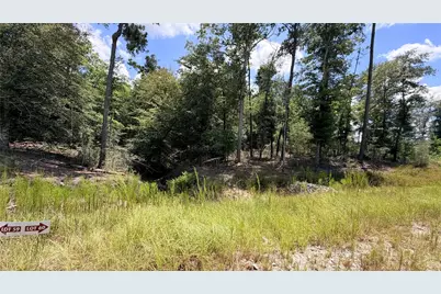 Tbd Lady Luck Ln Parcel 246445 Road, Livingston, TX 77351 - Photo 10