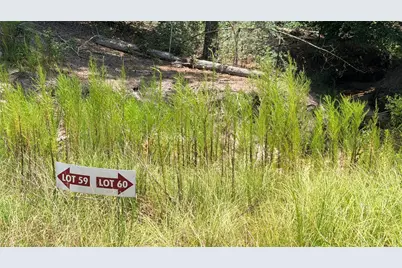 Tbd Lady Luck Ln Parcel 246445 Road, Livingston, TX 77351 - Photo 2