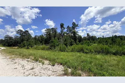 Tbd Lady Luck Ln Parcel 246445 Road, Livingston, TX 77351 - Photo 4