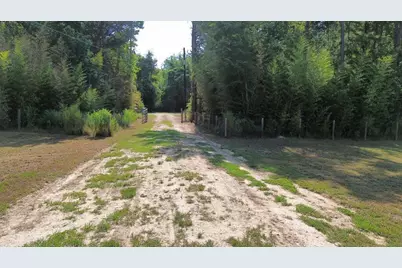 1125 County Road 3075, Kirbyville, TX 75956 - Photo 4