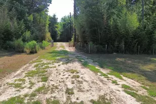 1125 County Rd 3075, Kirbyville, TX 75956 - Photo 4