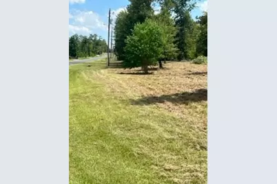 160 Branchwood Drive, Livingston, TX 77351 - Photo 14