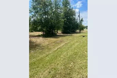 160 Branchwood Drive, Livingston, TX 77351 - Photo 10