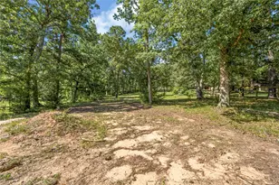 2342 Apache Dr, Montgomery, TX 77316 - Photo 46