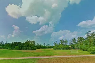 23 Shellbark, The Woodlands, TX 77382 - Photo 28