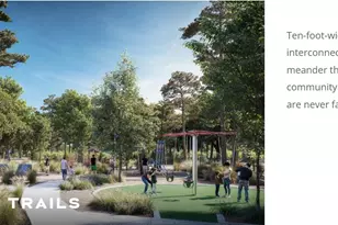 1728 Howler Wy, Montgomery, TX 77316 - Photo 34