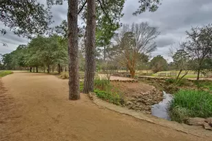 6551 Westcott St, Houston, TX 77007 - Photo 12