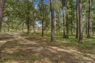 26816 Vista Meadow Ct, Huffman, TX 77336 - Photo 44