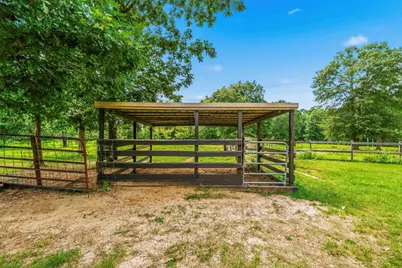 1239 Tony Peebles Road, Livingston, TX 77351 - Photo 48