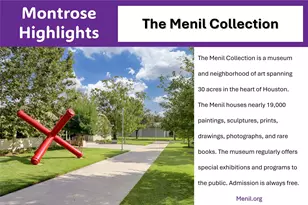 1529 Welch St, Houston, TX 77006 - Photo 32