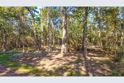 Tbd Summer Place, Livingston, TX 77351 - Photo 8