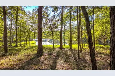 Tbd Summer Place, Livingston, TX 77351 - Photo 10
