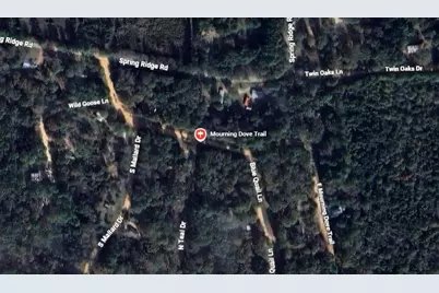 0 Mourning Dove Trail, Coldspring, TX 77331 - Photo 2