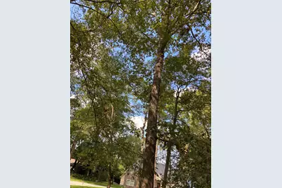 19930 Gemstone Drive, Montgomery, TX 77356 - Photo 14