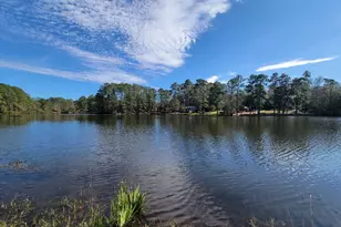 289 Broken Arrow Trail, Goodrich, TX 77335 - Photo 40