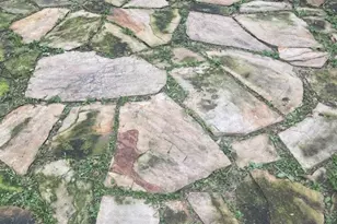 320 Oak Tree Dr, Point Blank, TX 77364 - Photo 2