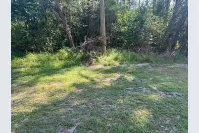 Tbd Evergreen Circle, Point Blank, TX 77364 - Photo 4