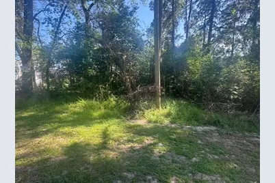 Tbd Evergreen Circle, Point Blank, TX 77364 - Photo 2