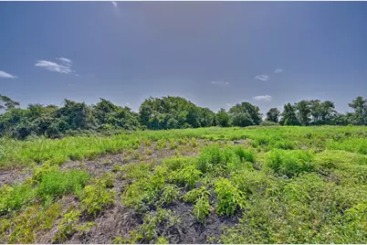 Tbd Fm 2981, Fayetteville, TX 78940 - Photo 12