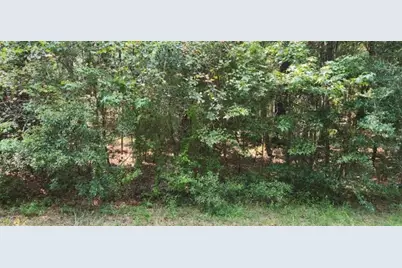 15218 Daniel Street, Magnolia, TX 77354 - Photo 6