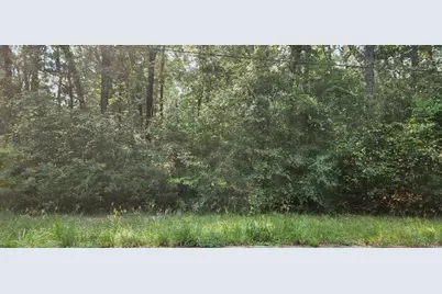 15218 Daniel Street, Magnolia, TX 77354 - Photo 4