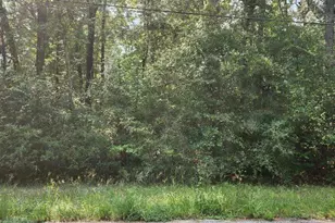 0 Daniel St, Magnolia, TX 77354 - Photo 4