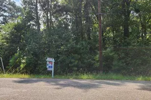 0 Daniel St, Magnolia, TX 77354 - Photo 2