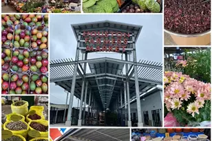 4622 Michaux St, Houston, TX 77009 - Photo 20