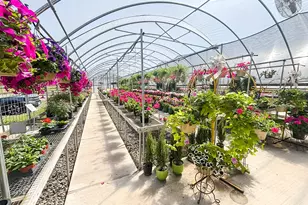 375 S Craigs Dr, Buffalo, TX 75831 - Photo 6