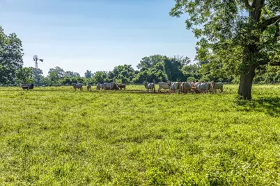 20755 Holle Lane, Washington, TX 77880 - Photo 12