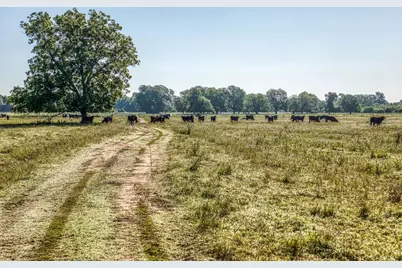 20755 Holle Lane, Washington, TX 77880 - Photo 28
