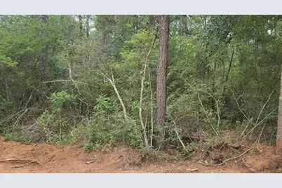 Lot 3 Scarlet Oak Drive, Plantersville, TX 77363 - Photo 10